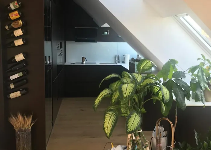 Grosszuegiges Dachterrassen-Appartment Mit Klimaanlage Und Wunderbarem Ausblick